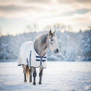 Fin de vie cheval