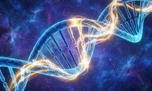 Soutien énergétique cancer