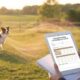 Suivi cure énergétique chien