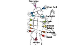 Harmonisation des Chakras niveau 1