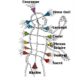 Harmonisation des Chakras niveau 1